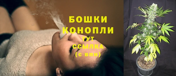 твердый Михайлов