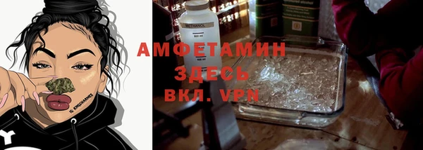 твердый Михайлов