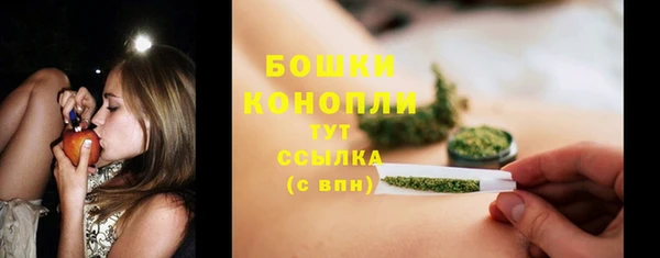 твердый Михайлов