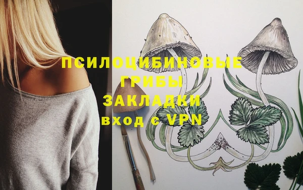твердый Михайлов