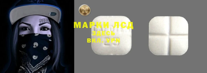 mdpv Михайловск