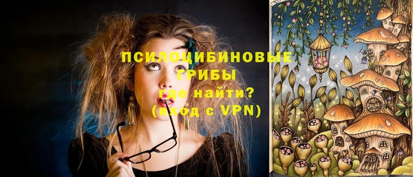 твердый Михайлов