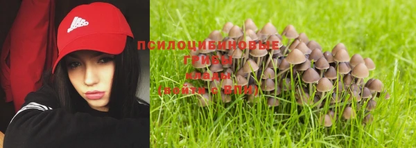 дживик Михайловка