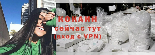 твердый Михайлов