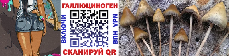 Псилоцибиновые грибы GOLDEN TEACHER  закладки  Новозыбков 