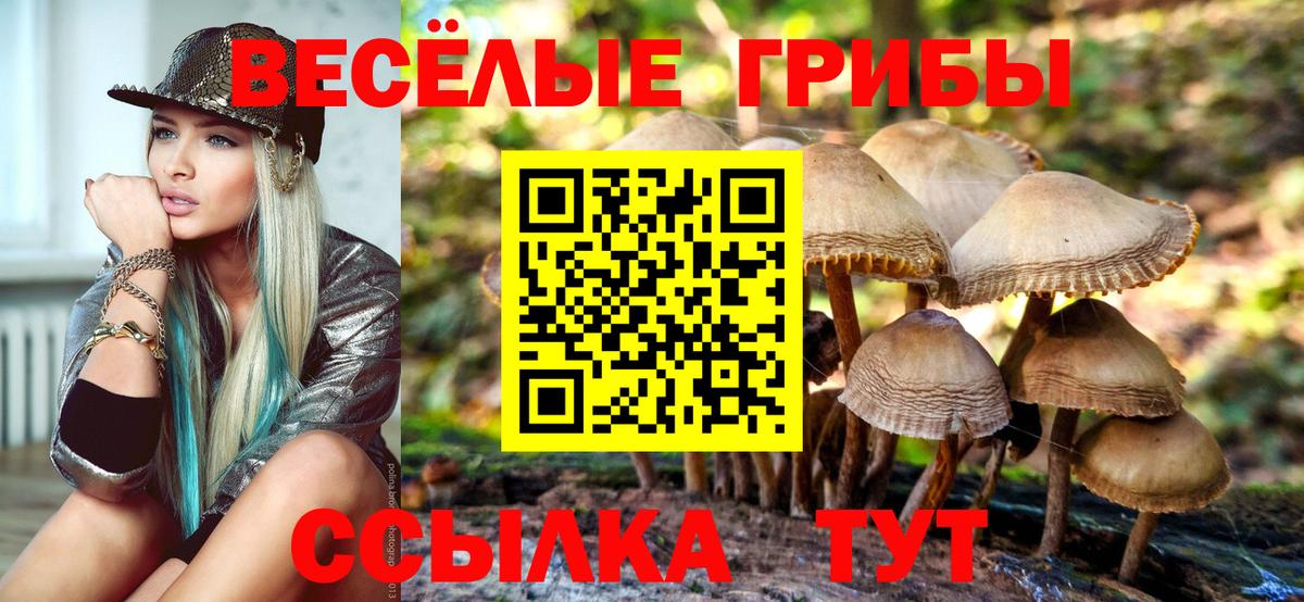 Галлюциногенные грибы мицелий Новозыбков