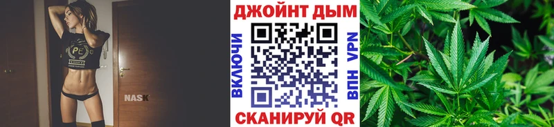 купить наркотики сайты  Новозыбков  Марихуана планчик 